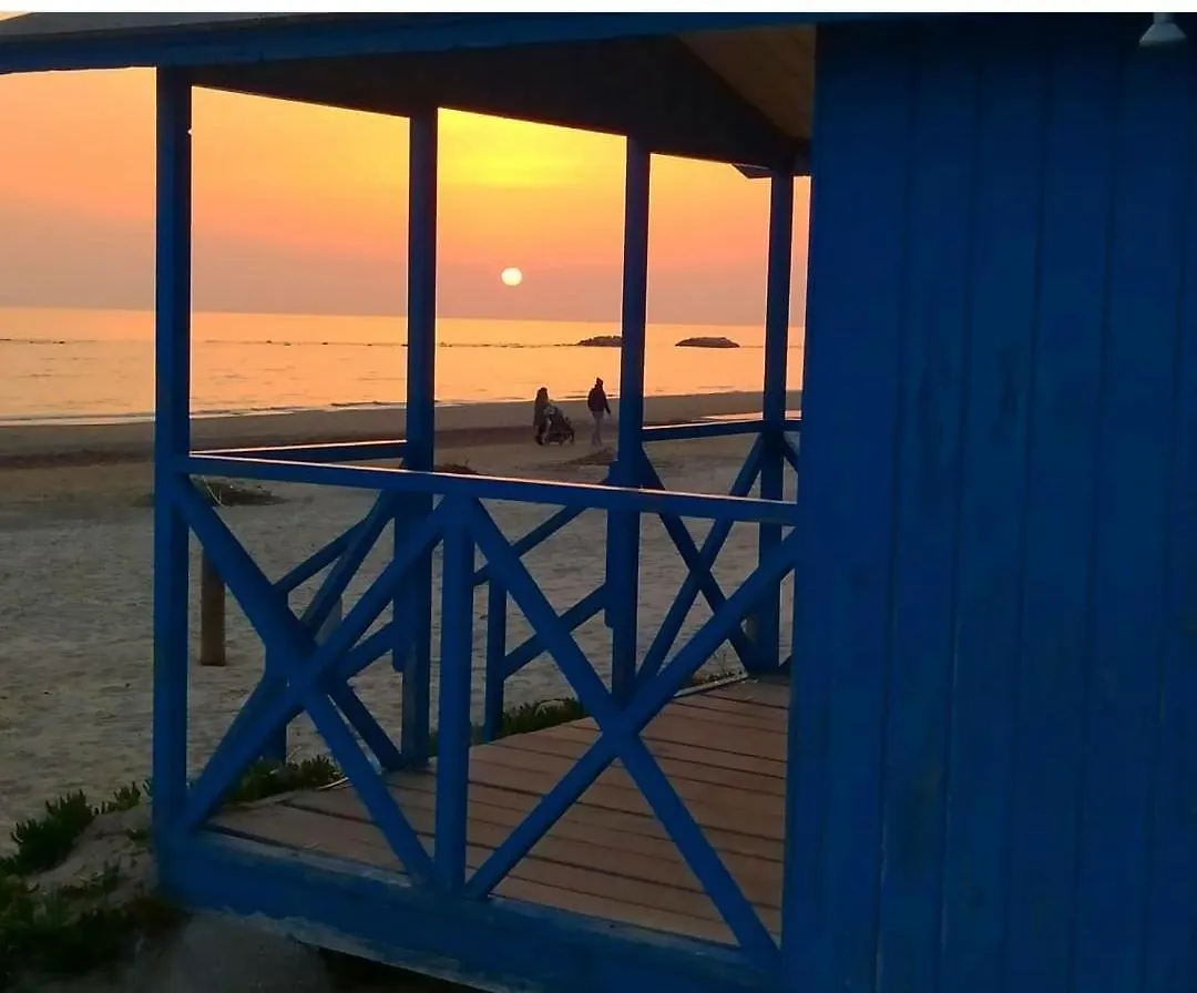 Camera Con Terrazza Vicino Al Mare E Pineta فولّونيكا 0*,  إيطاليا